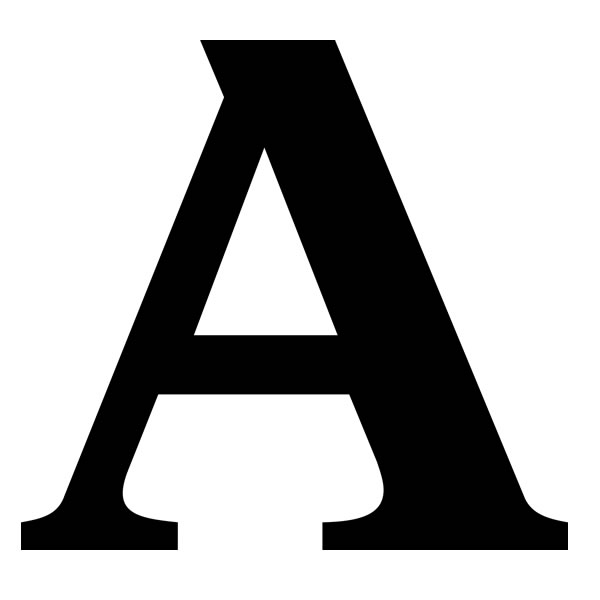 Gerardo Cajiga Estrada - Academia