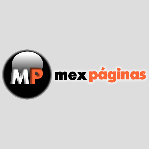 Especialistas en SEO México